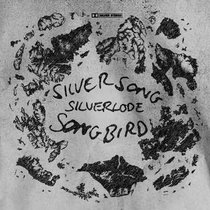 Silver Song / Songbird cover art