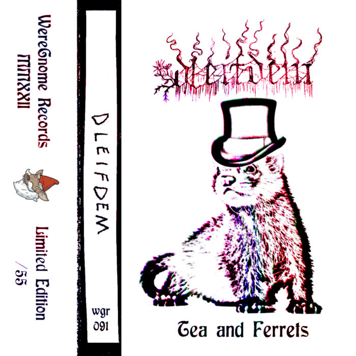 Tea and Ferrets DLEIFDEM WereGnome Records