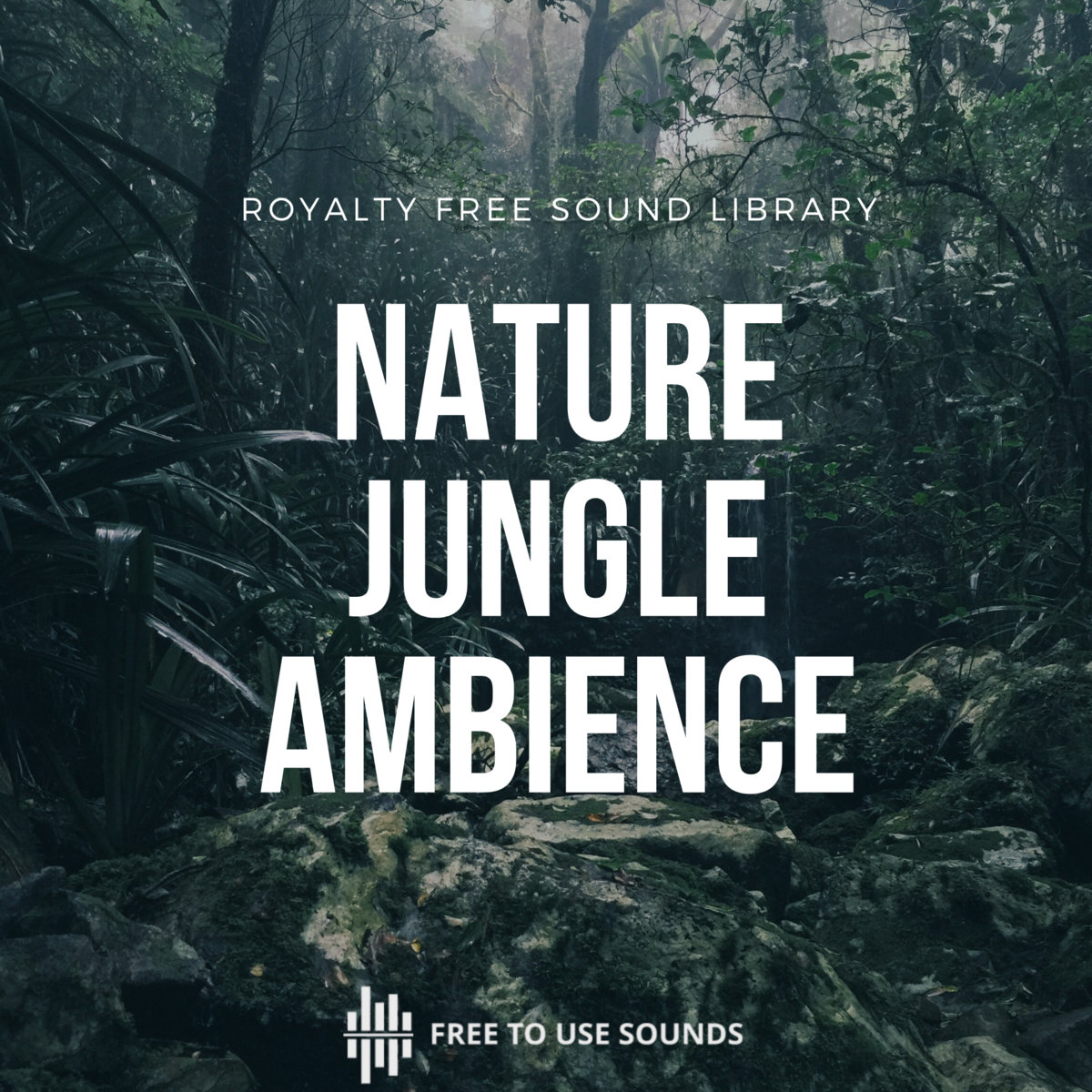 Jungle & Forests | Jungle Sound Effects Library Indonesia