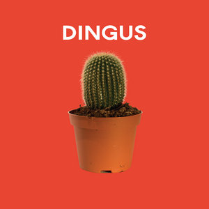 Dingus cover