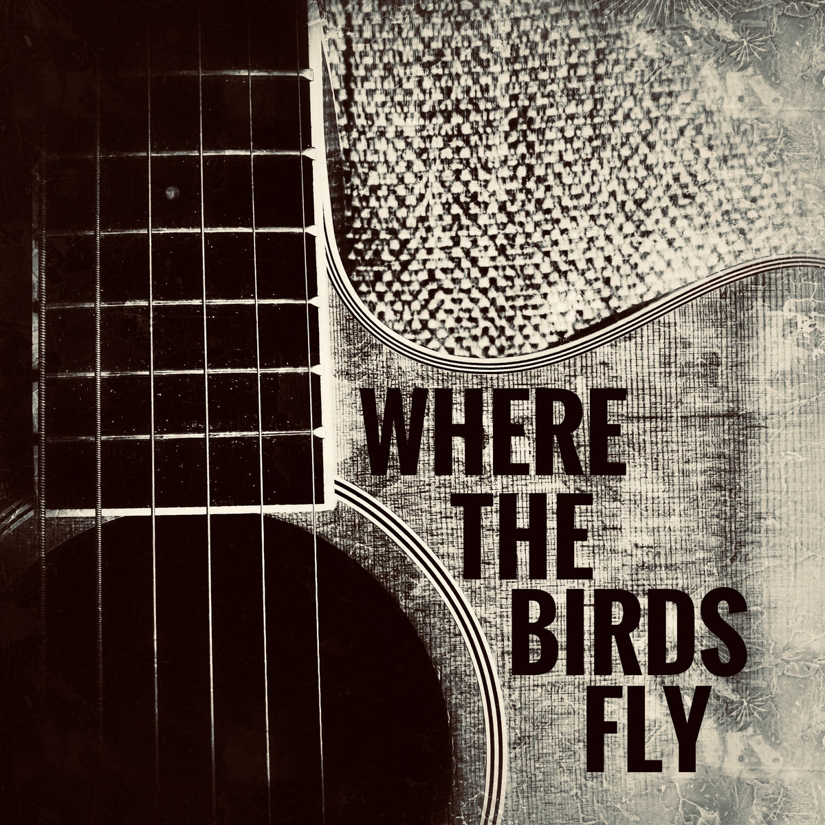 Where The Birds Fly