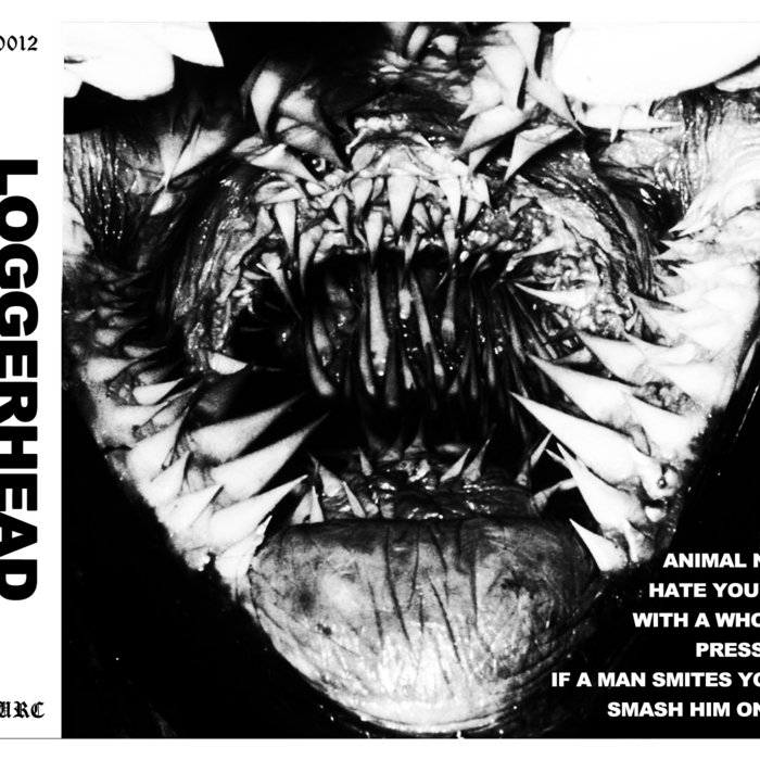 Loggerhead Loggerhead Wood Room Collective