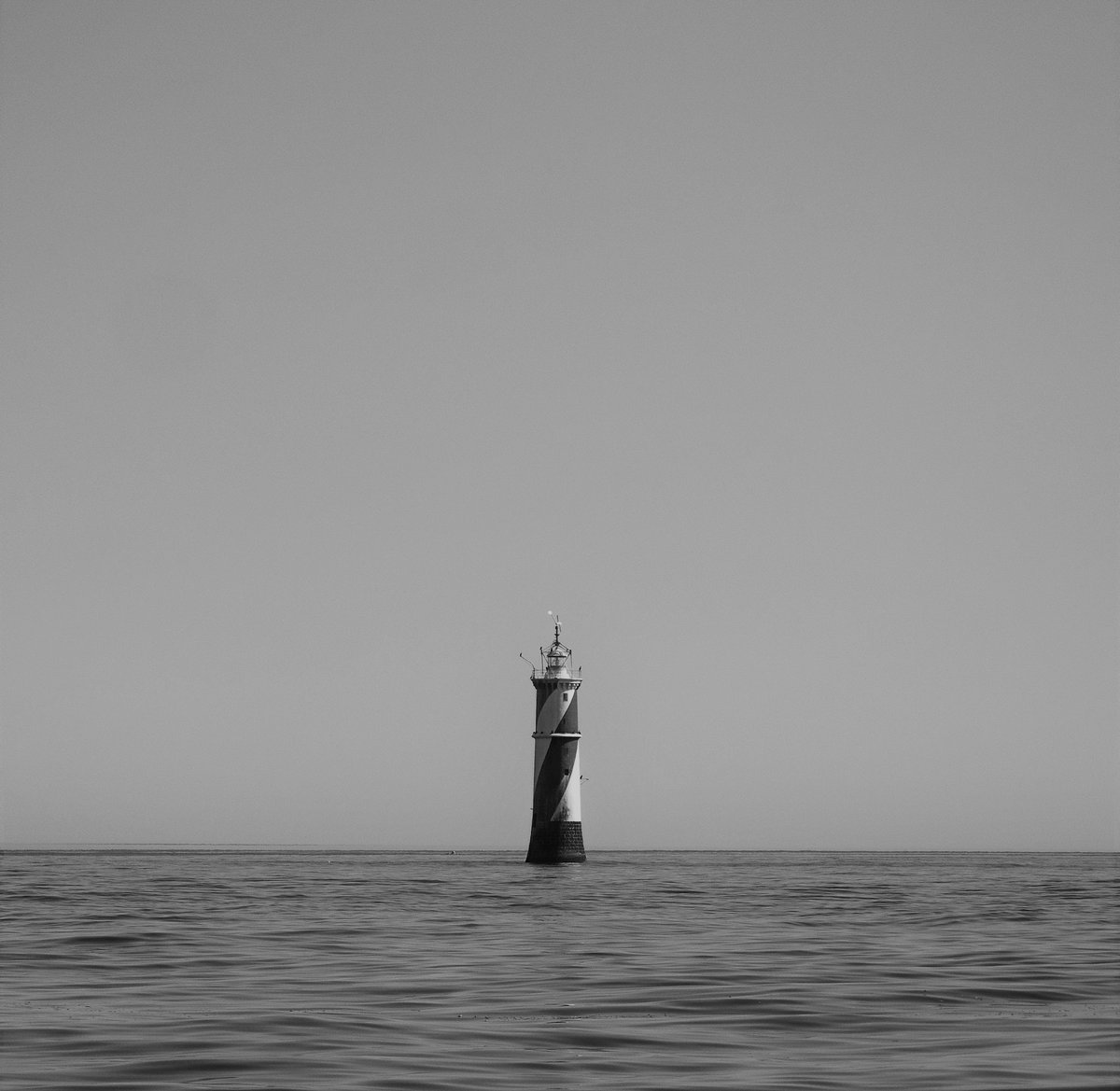 2070 Paradigm Shift | Great Fishh