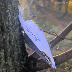 Untitled Song (about taking her to the airport for the last time)Untitled Song (about taking her to the airport for the last time) cover