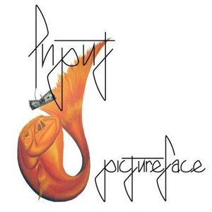 Pictureface cover