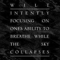 Intently Focusing on Ones Ability to Breathe While the Sky Collapses cover art