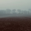Desolate