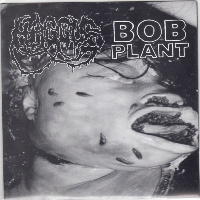 SPLIT WITH HAGGUS | BOB PLANT