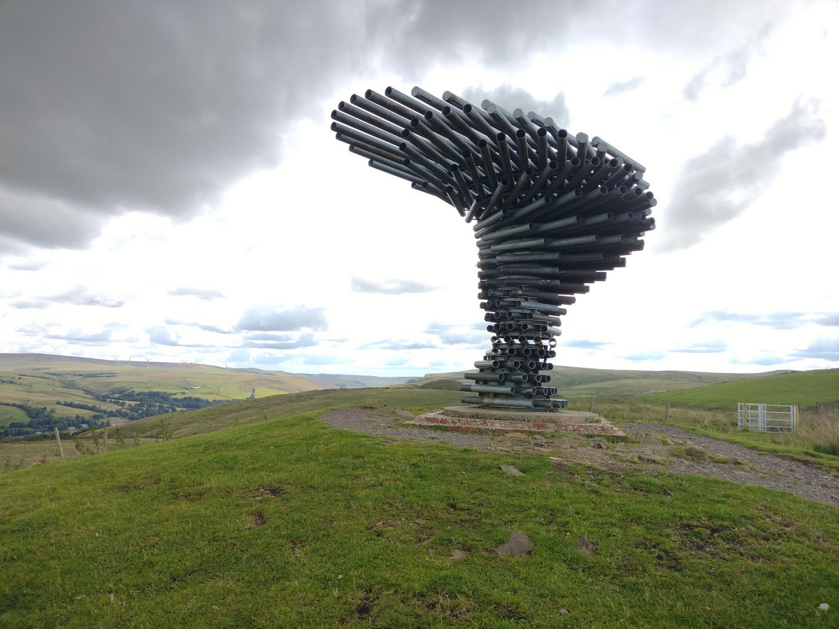 Sing Ong Ringing Tree SINGING RINGING TREE | Mr. AC | Xemporium