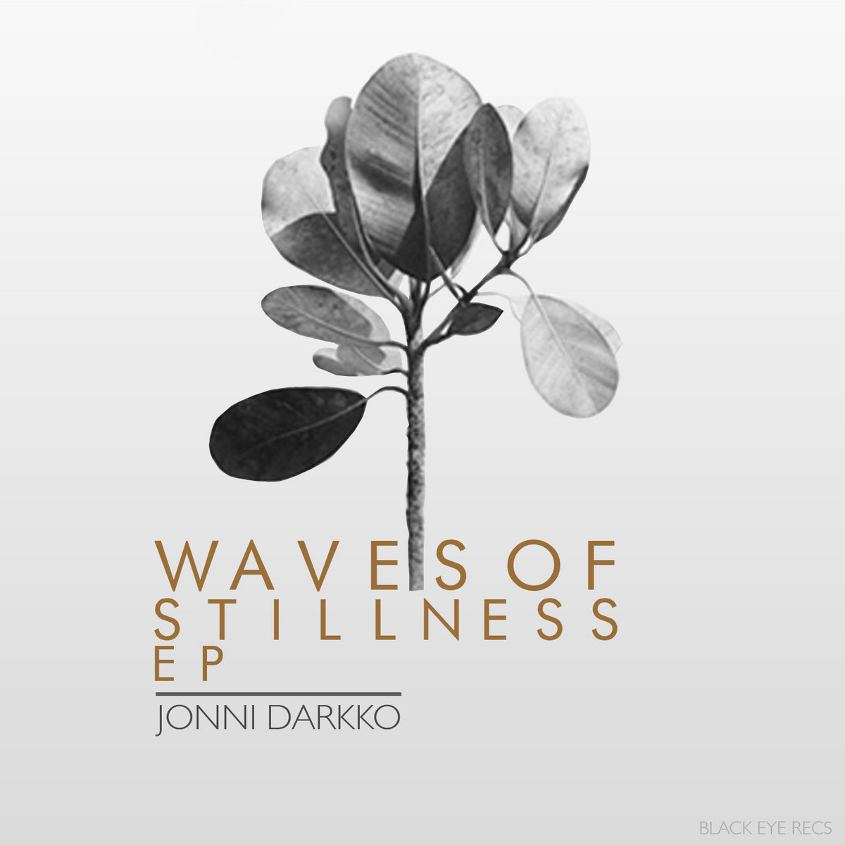 Waves Of Stillness EP | Jonni Darkko | Blackeyerecords