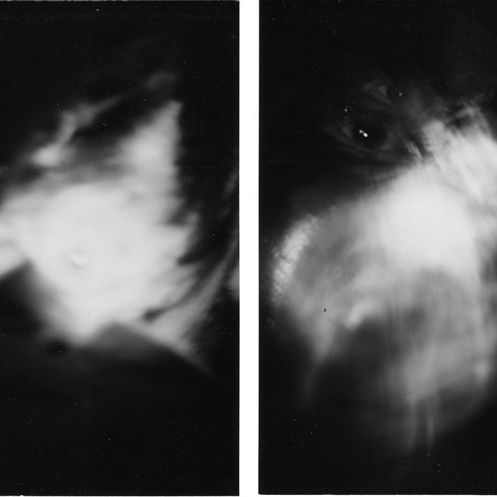 Breaking: Deadly Crash Rocks Greenville, Ohio – One Lifeless Vehicle Remains at Scene Today