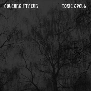 Toxic SpellColeurs, Fevr cover