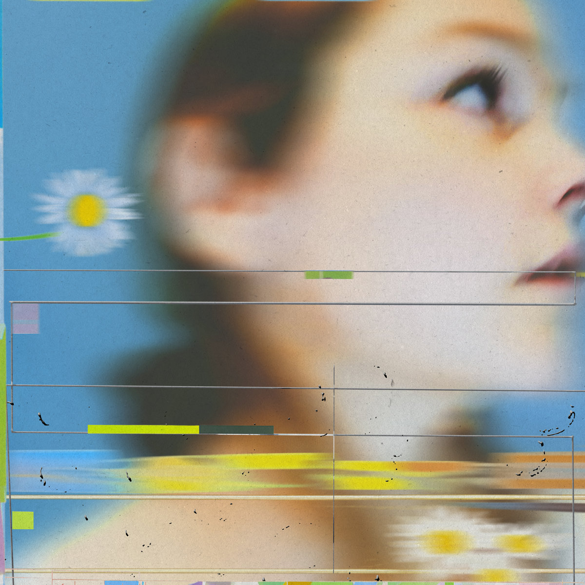 daisy* | daisy*