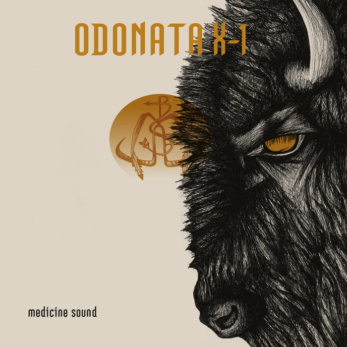Pochette de MEDICINE SOUND par ODONATA X-1