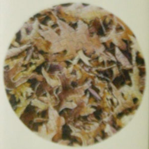 Dorkestral Maneuvers In the Park cover
