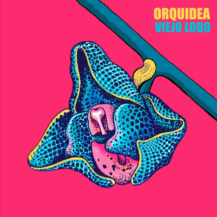 orquidea-viejo-lobo
