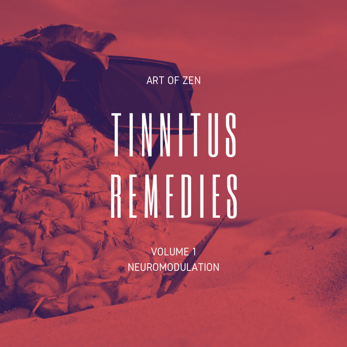 Tinnitus Remedies Vol.1 Art of Zen