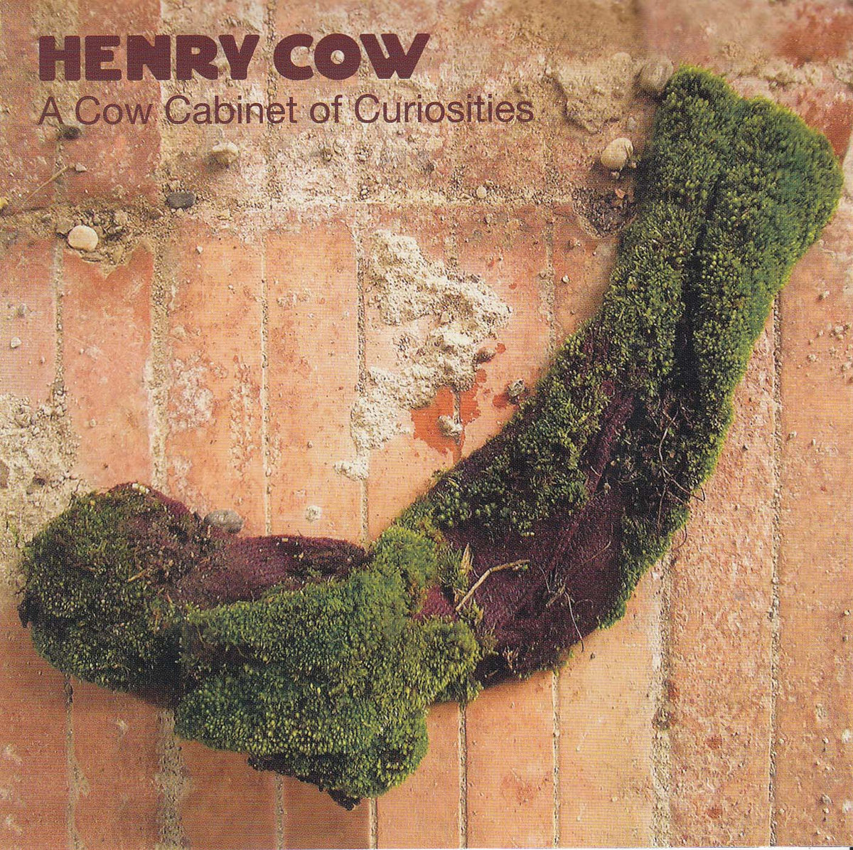 A Cow Cabinet of Curiosities | Henry Cow