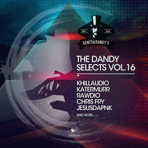 VA - The Dandy Selects Vol. 16 cover art
