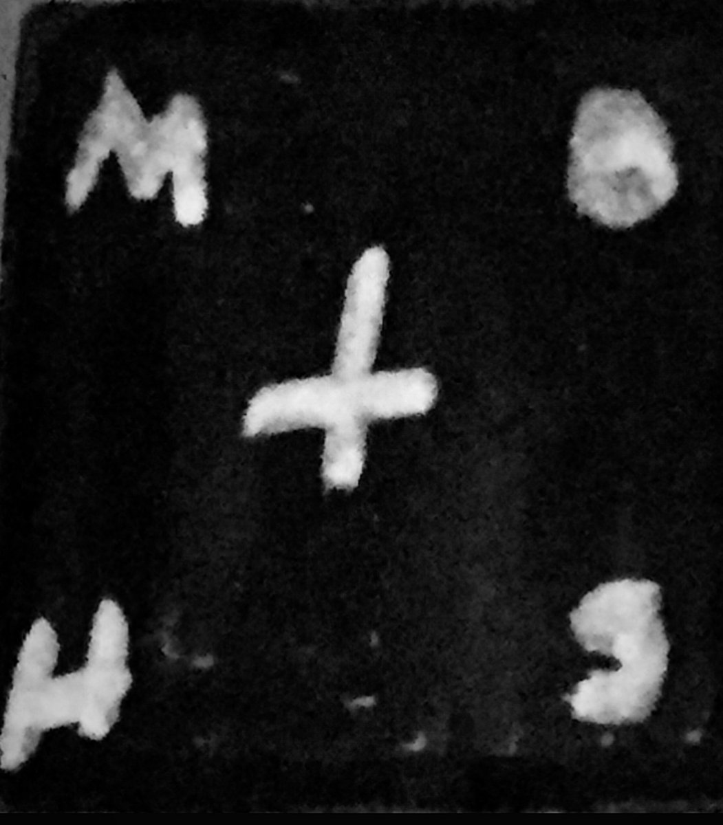 Mammoths (single) | MOTHS