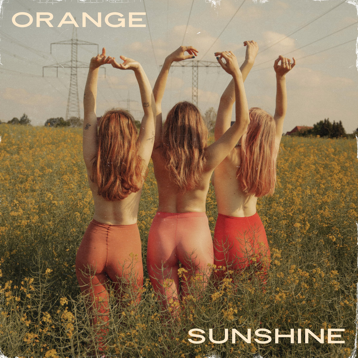 Orange Sunshine | Yum Yuck