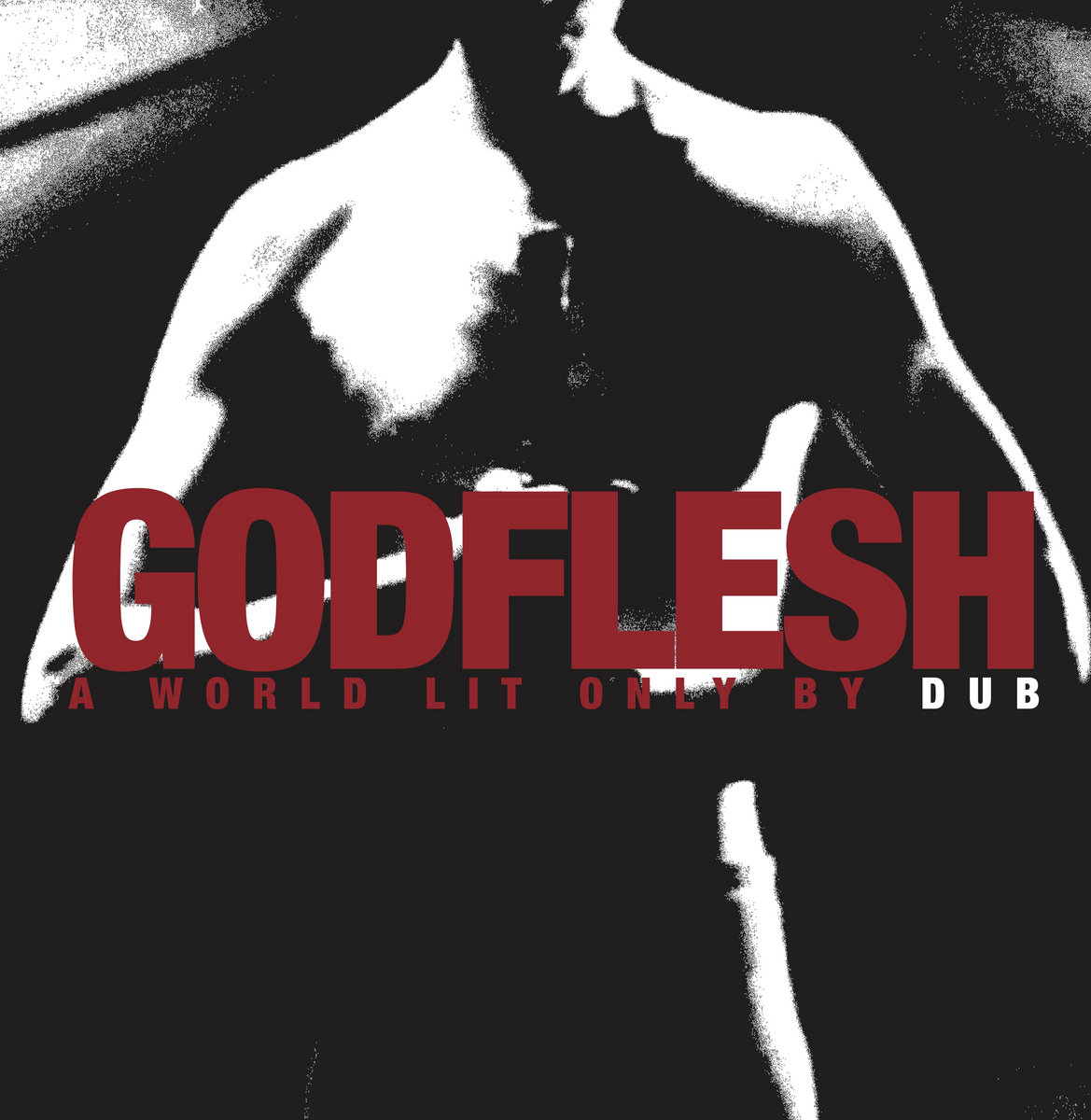 英LP Godflesh A World Lit Only By Dub FLESHREC001 Flesh Recordings 未開封 /00260 A World Lit Only By Dub | GODFLESH