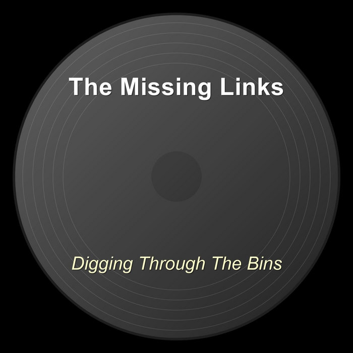 Digging Through The Bins | The Missing Links