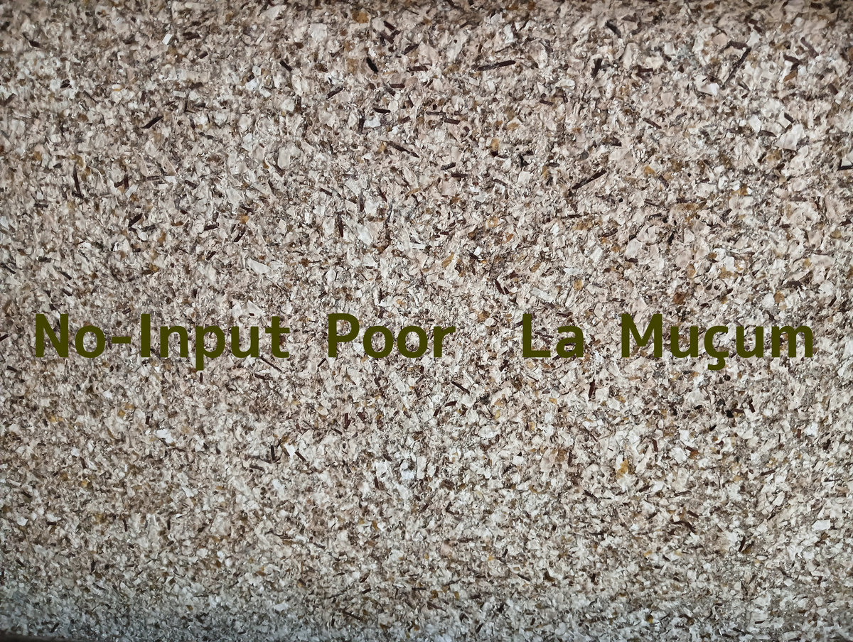 порно картинки tonkato 02 No-Input Poor | La Muçum | TONKATO LABEL