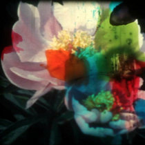 The North Coast Sessions cover art