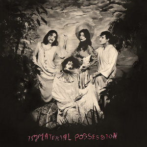 Immaterial Possession — Immaterial Possession