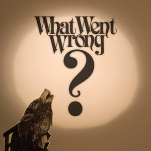 What Went Wrong? cover