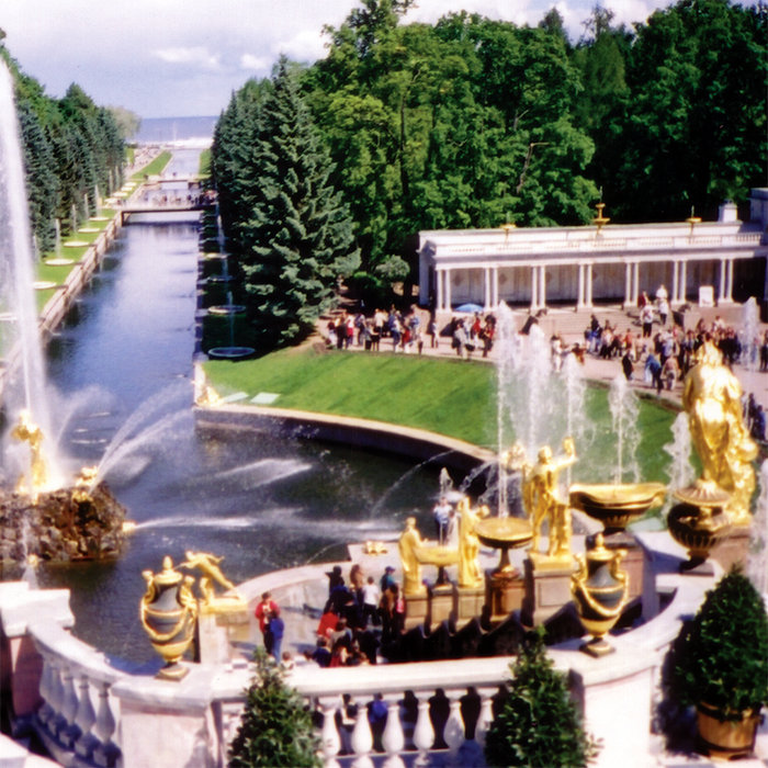 YELLOW split Lab Coast / Friendo Lab Coast