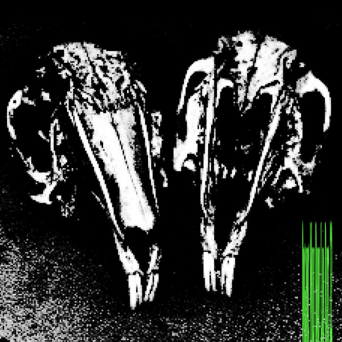 lab_rats.22 | Organic Milk Baby