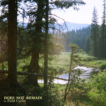 Album artwork for Does Not Remain