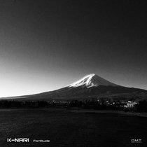 Fortitude Lp cover art