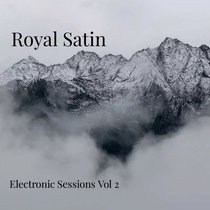 Electronic Sessions Vol 2 cover art