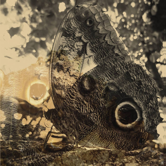 Louise Landes Levi ‎ LP IKIRU or The Wanderer | Louise Landes Levi | Oaken Palace