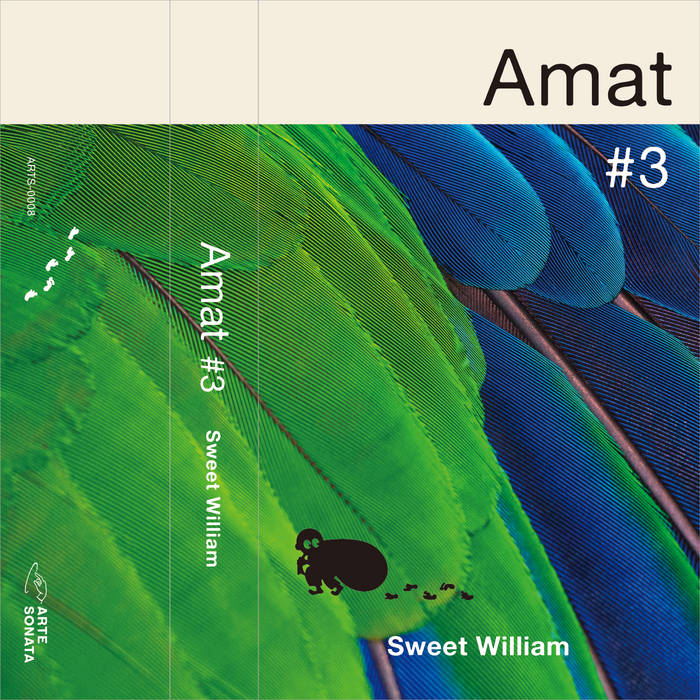 Amat #3 | Sweet William