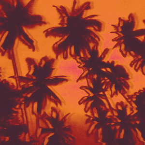 SOM VOL 1 : Sounds Of Miami Vol. 1 cover
