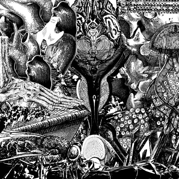 plot / BERSERK 2.0 | EAT