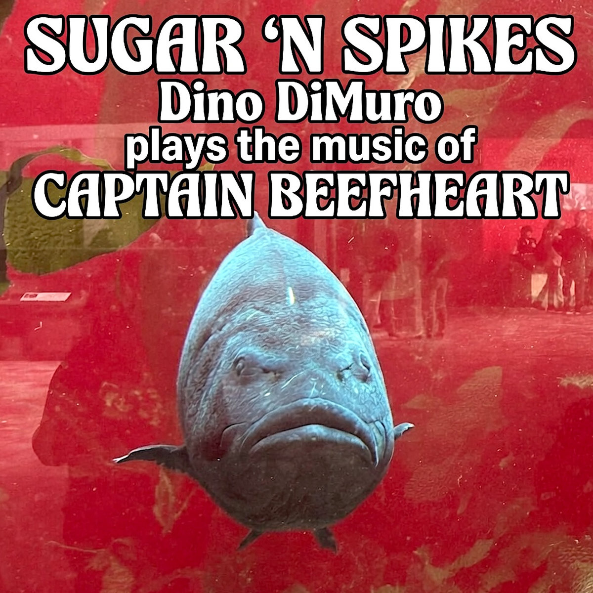 Sugar 'N Spikes
