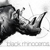 Black Rhinoceros Cover Art