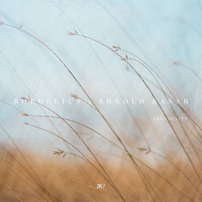 Zensibility | Roedelius & Arnold Kasar | Roedelius