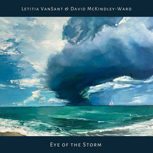 Eye of the StormLetitia VanSant & David McKindley-Ward cover