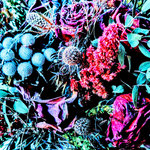 The Melancholy EP (Smiths and Radiohead)