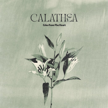 Music | Calathea
