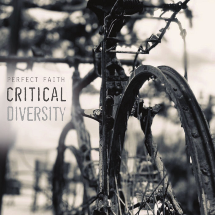 Critical Diversity Perfect faith
