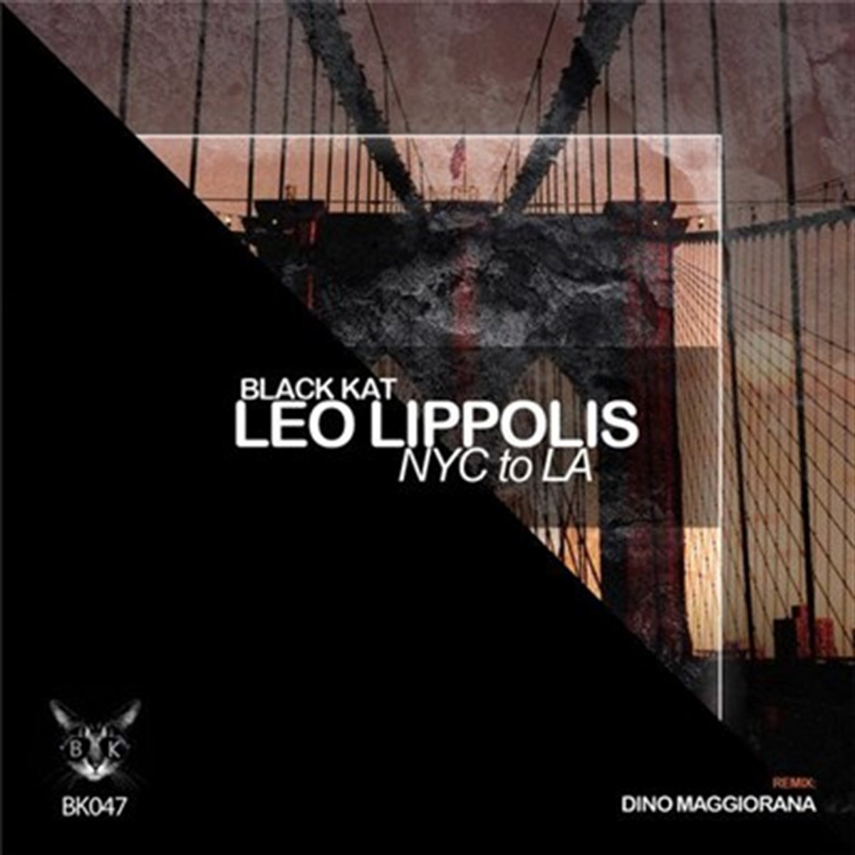NYC To LA | Leo Lippolis