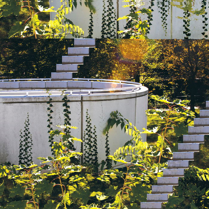 South Tropical Trail Chase King wonderland archives