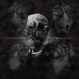 Siphon cover